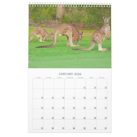 foto van wild dier kalender (Jan 2026)
