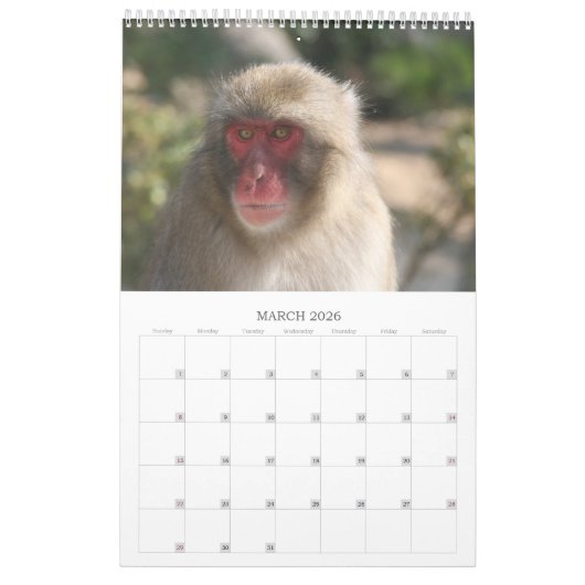 foto van wild dier kalender (Mar 2026)