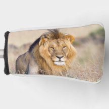 Foto van wild dier (Majestic)