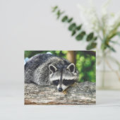 Foto van wild-life-ras briefkaart (Staand voorkant)