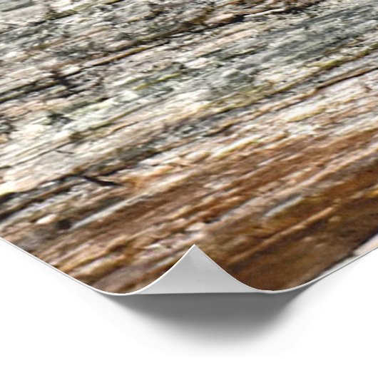 Foto van wild-life-ras poster (Hoek)