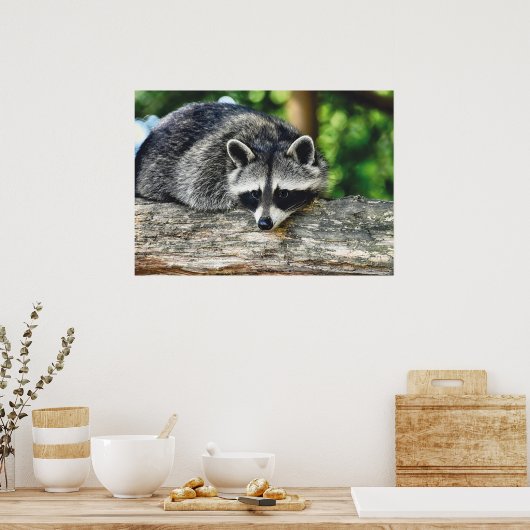 Foto van wild-life-ras poster (Keuken)