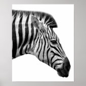 Foto van wild oerwoud met zwarte en witte zebra poster (Voorkant)