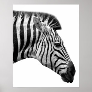 Foto van wild oerwoud met zwarte en witte zebra poster