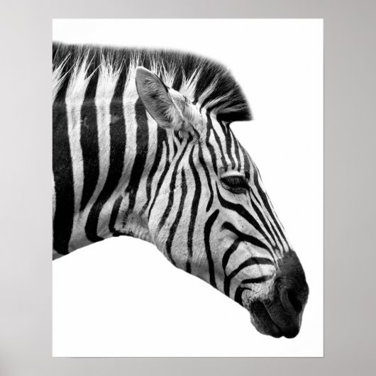 Foto van wild oerwoud met zwarte en witte zebra poster (Voorkant)