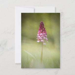 Foto van Wild Orchid Natuur Kaart