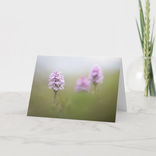 Foto van Wild Orchid Natuur Kaart (Voorkant)