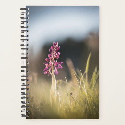 Foto van Wild Orchid Natuur Planner (Voorkant)