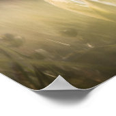 Foto van Wild Orchid Natuur Poster (Hoek)