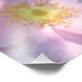 Foto van Wild Roos afdrukken Foto Afdruk (Hoek)