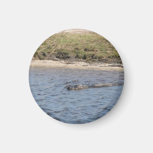 Foto van wilde alligator op rivieroever magneet (Voorkant)