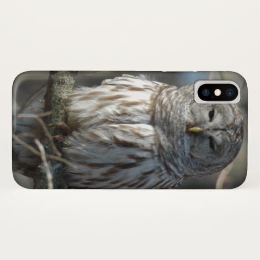 Foto van Wilde Barred Owl Case-Mate iPhone Case (Achterkant (horizontaal))