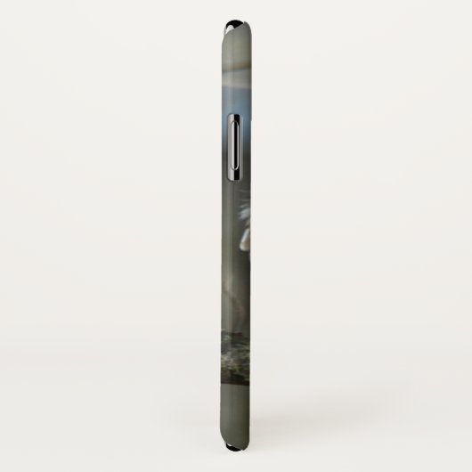 Foto van Wilde Barred Owl Case-Mate iPhone Case (Achterkant / rechts)