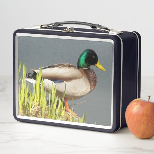 Foto van wilde eend in het wild (In situ)