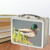 Foto van wilde eend in het wild