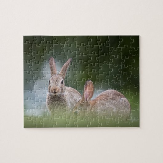 Foto van wilde konijnen legpuzzel (Horizontaal)