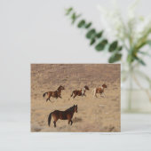 Foto van wilde paarden in Nevada Briefkaart (Staand voorkant)
