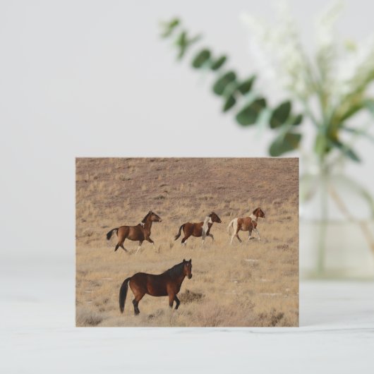 Foto van wilde paarden in Nevada Briefkaart (Staand voorkant)