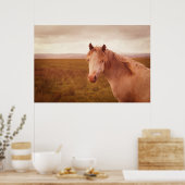 foto van wilde paarden poster (Keuken)