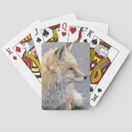 Foto van wilde rode vos pokerkaarten