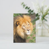 Foto van Wildlife African Lion Face Briefkaart (Staand voorkant)