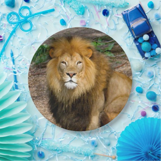 Foto van Wildlife African Lion Sitting Papieren Bordje (Feest)