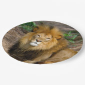 Foto van Wildlife African Lion Sitting Papieren Bordje (Gekanteld)