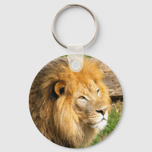 Foto van Wildlife African Lion Sleutelhanger