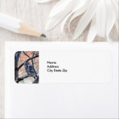 Foto van Wildlife Barred Owl Etiket (Insitu)