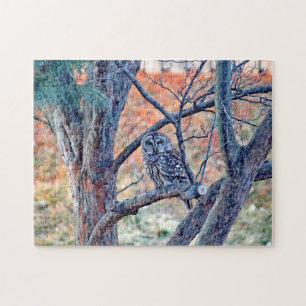 Foto van Wildlife Barred Owl Legpuzzel