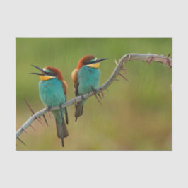 Foto van Wildlife Colorful Bee Eater Tissuepapier