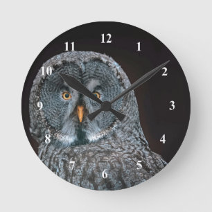 Foto van Wildlife Great Grey Owl Ronde Klok