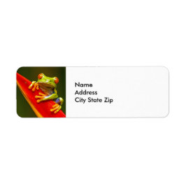 Foto van Wildlife Red Eyed Tree Kikker Etiket