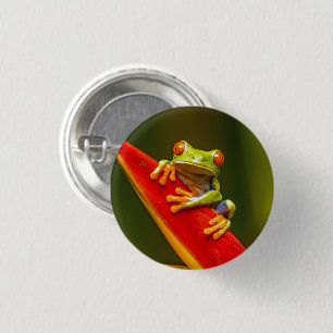 Foto van Wildlife Red Eyed Tree Kikker Ronde Button 3,2 Cm