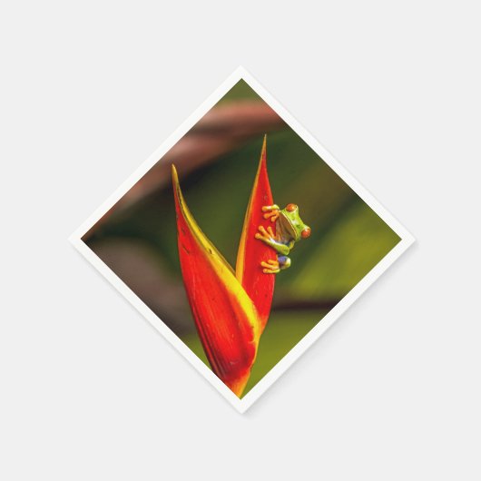 Foto van Wildlife Red Eyed Tree Kikker Servet (Hoek)