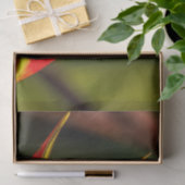 Foto van Wildlife Red Eyed Tree Kikker Tissuepapier (Geschenk)