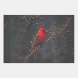Foto van Wildlife Red Inpakpapier Vel