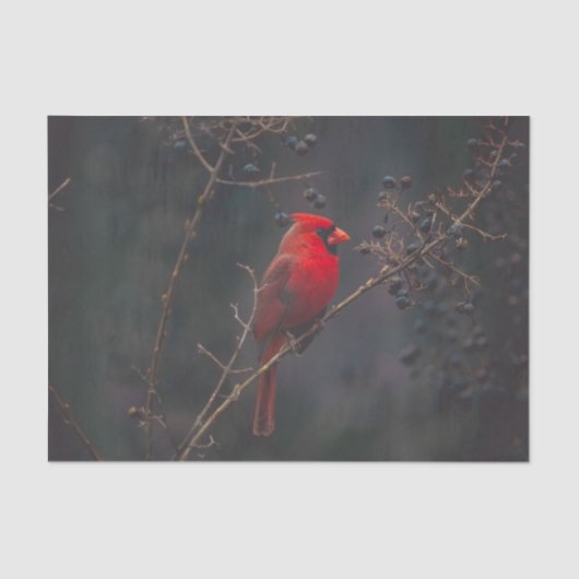 Foto van Wildlife Red Tissuepapier (Voorkant)