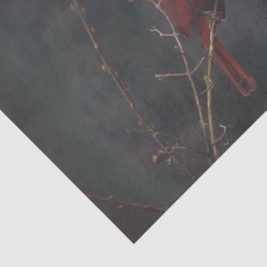 Foto van Wildlife Red Tissuepapier (Detail)