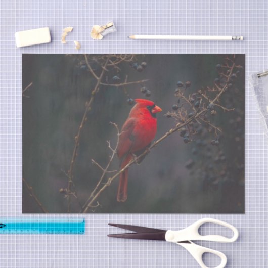 Foto van Wildlife Red Tissuepapier (Craft)