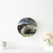 Foto van Wildlife Tortoise Ronde Klok (Huis)