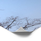 Foto van Windmill Poster (Hoek)