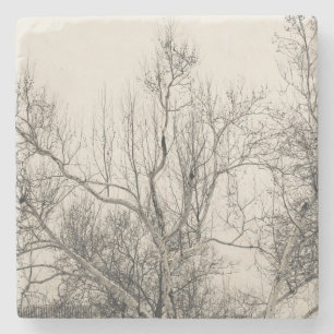 Foto van Winter Fog in Central Park NYC Stenen Onderzetter