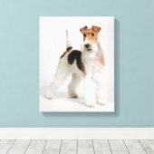 Foto van Wire Fox Terrier Dog Canvas Afdruk (Insitu (Houten vloer))
