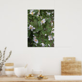 Foto van witte en gele bloemen poster (Keuken)