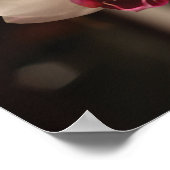 Foto van witte en roze orchidee-ventilator poster (Hoek)