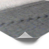 Foto van witte hond met staart op gezicht grijs poster (Hoek)