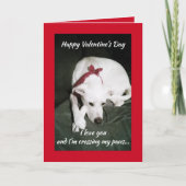 Foto van witte hond Valentijnsdag grappig Kaart (Voorkant)