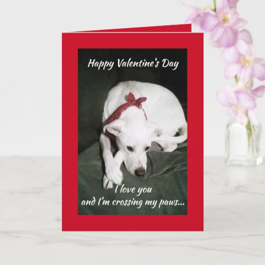 Foto van witte hond Valentijnsdag grappig Kaart (Orchidee)