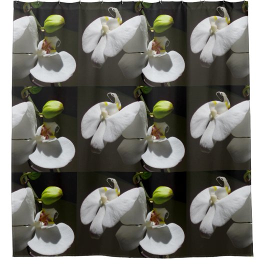 foto van witte orchidee , tropische witte florale  douchegordijn (Voorkant)